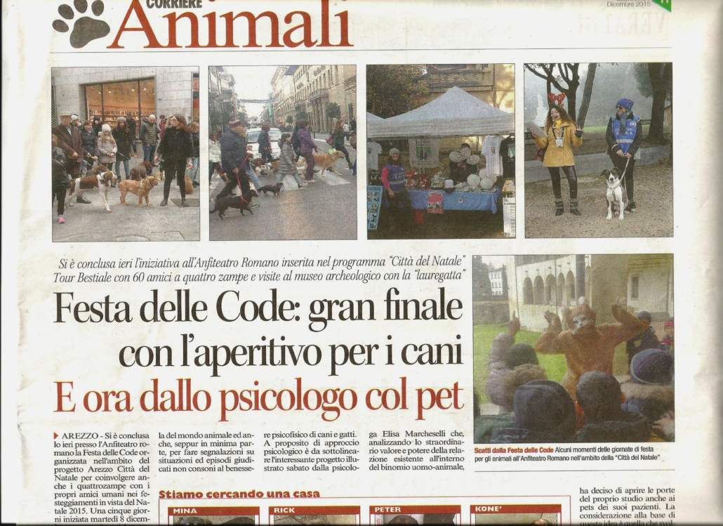 Gran finale festa delle code 1