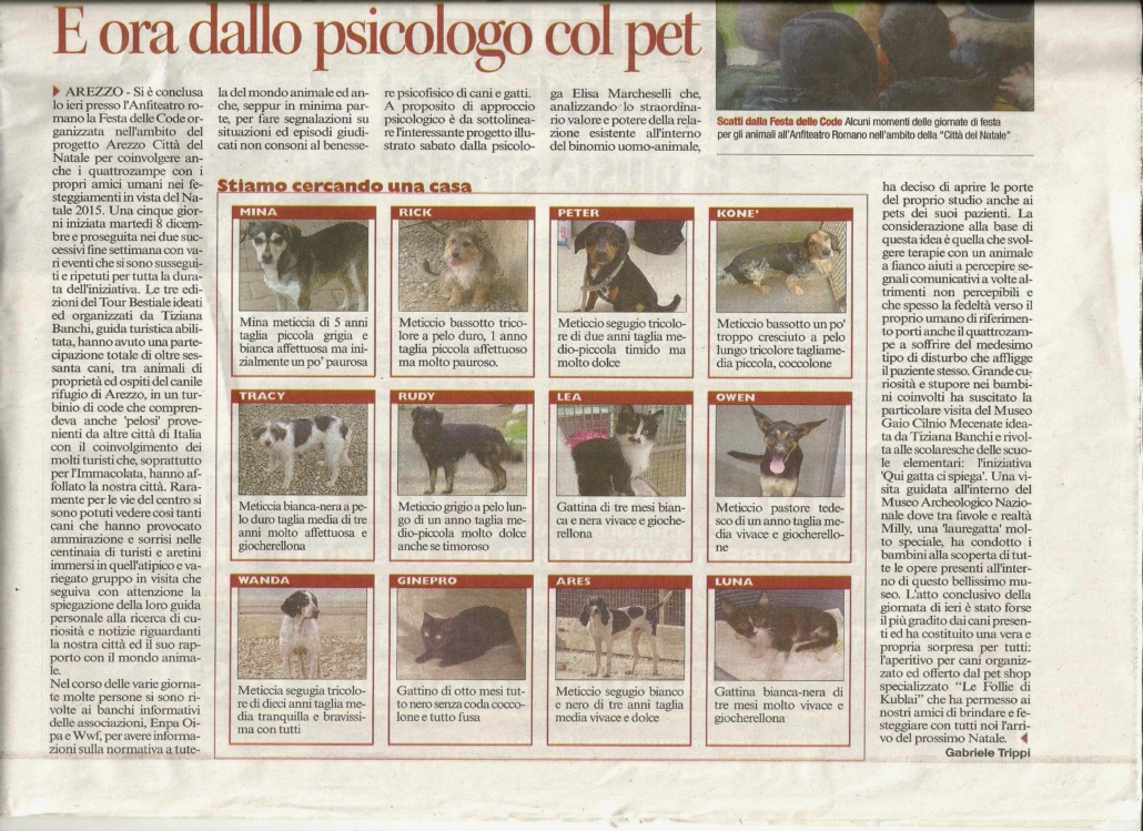 Gran finale festa delle code 2015
